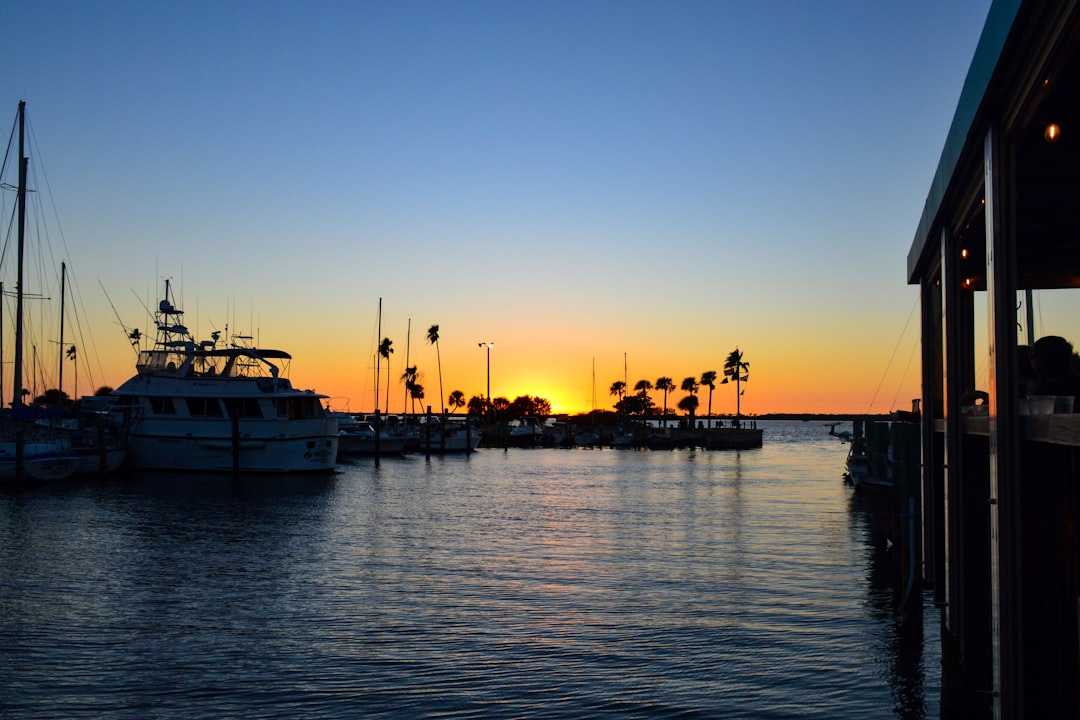 Florida boating license cost - speedboat cruising Florida coastal waters near Miami
