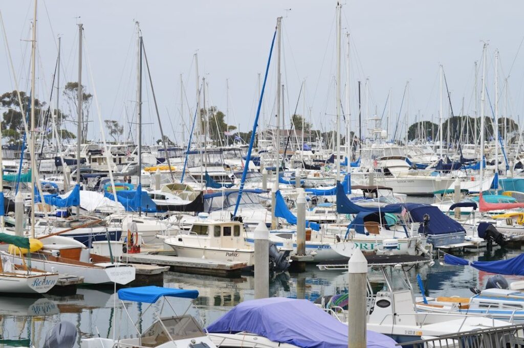 California Boater Card requirements everything you need to know - sailing on California bay