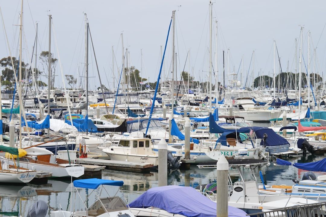 California Boater Card requirements everything you need to know - sailing on California bay
