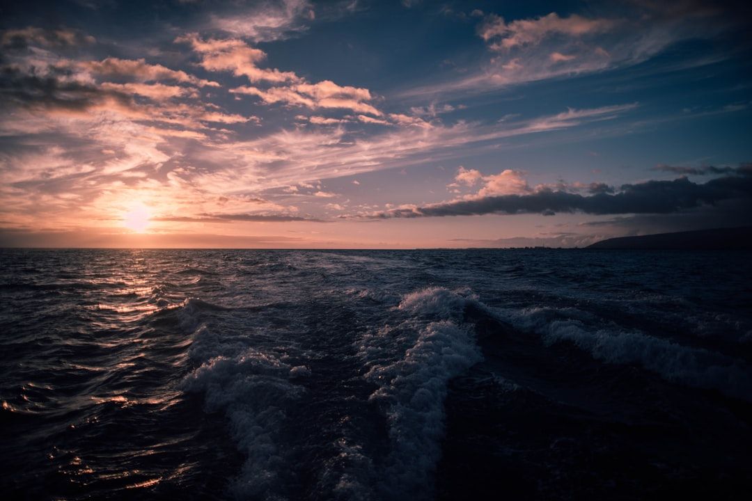 Florida vs California boating license differences - motorboat on ocean waterway
