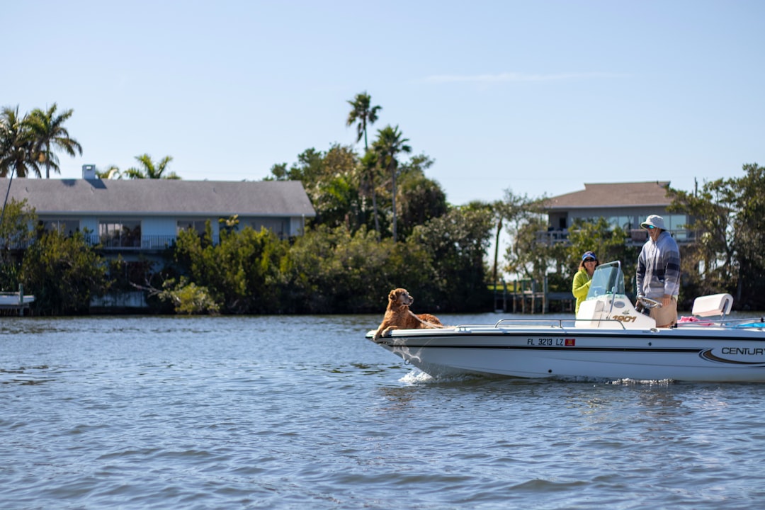 Person holding boating license certificate
