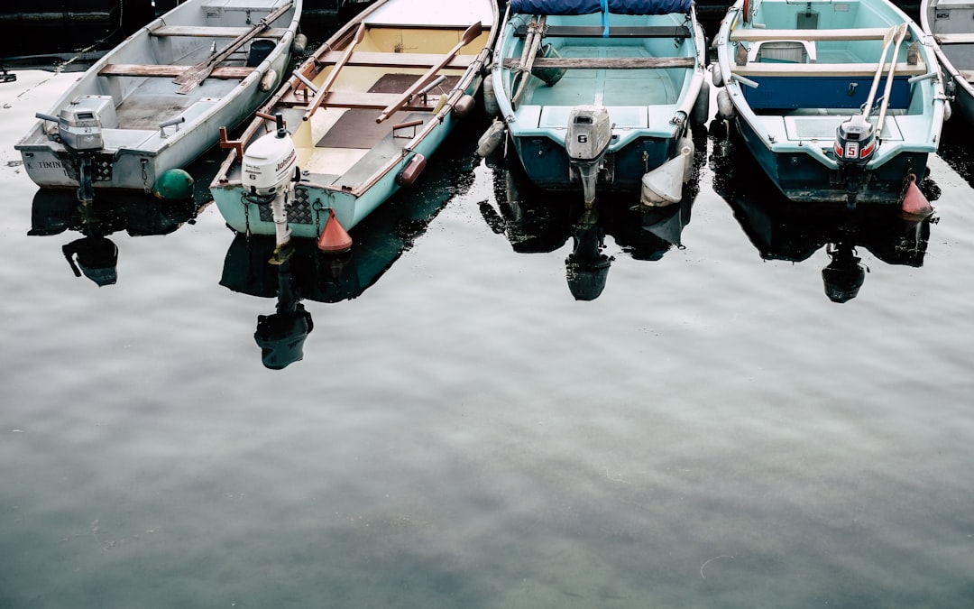 Boating license document renewal