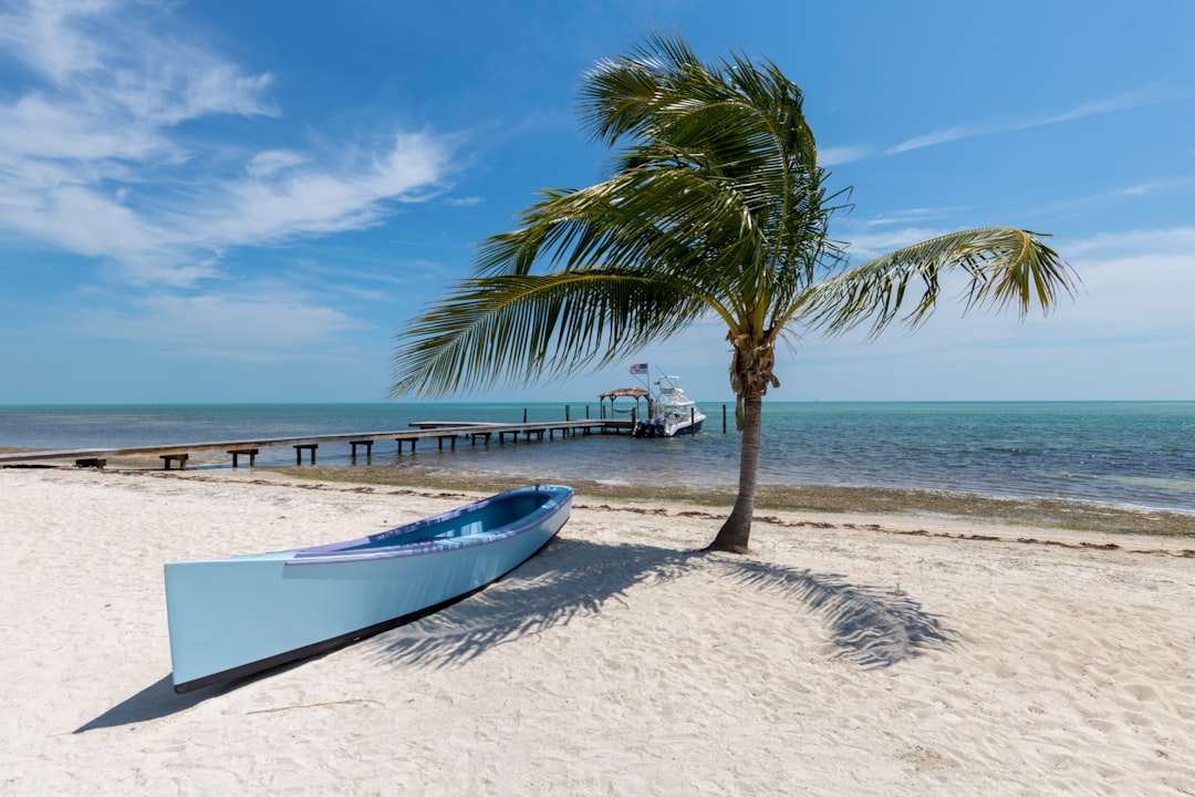 Florida boat landscape