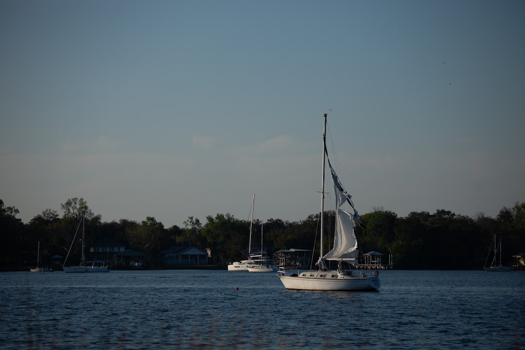 Recreational boating scene